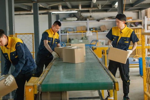 馬云預言 后疫情時代，家政服務或成新財富風口