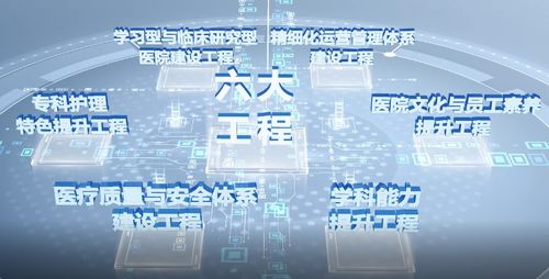 雙城聯動 青島海慈醫(yī)療集團學科建設年與杭州軟件開發(fā)的協(xié)同發(fā)展之路